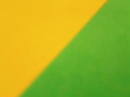 黄色&ライトグリーンの写真
