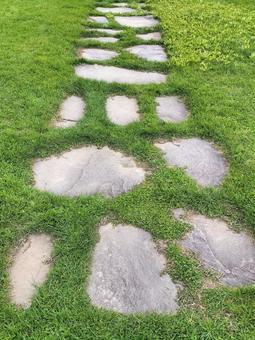 公園の芝生の写真