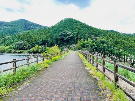 呉ダム湖　秋の公園 秋,呉ダム渓流公園,公園の写真素材