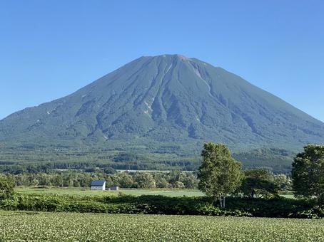 北海道 羊蹄山 北海道 羊蹄山 北海道,山,羊蹄山の写真素材