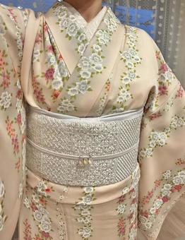 着物姿の女性 着物,きもの,帯の写真素材