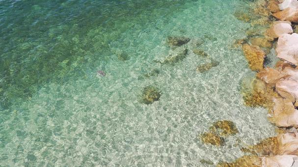 すっごい透明!真夏の瀬戸内海 すっごい透明!真夏の瀬戸内海の写真