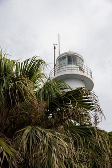 灯台 灯台,足摺岬,光の写真素材
