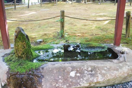 苔のある手水舎 苔のある手水舎の写真