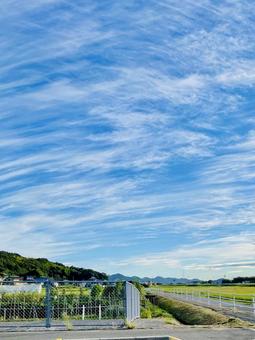秋空 すじ雲 秋空 すじ雲の写真