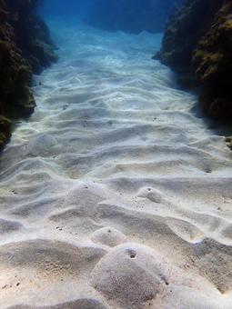 海底の景色 海底の景色 海,サンゴ,珊瑚礁の写真素材
