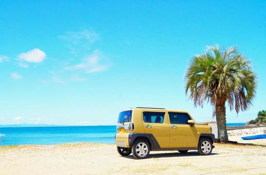 真夏のビーチの駐車場 真夏のビーチの駐車場 海,車,駐車場の写真素材