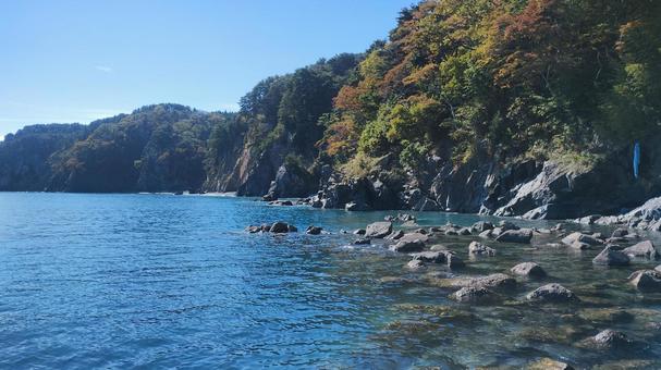 海岸 海岸の写真