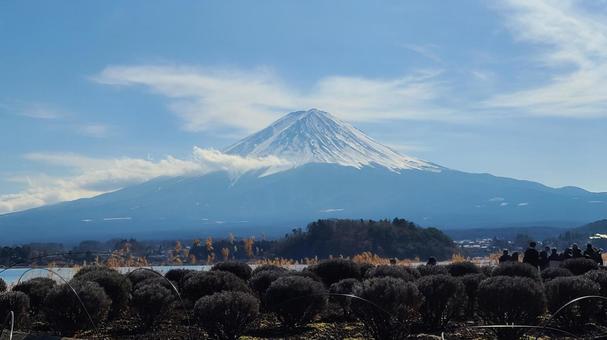 日本のシンボル　富士山 富士山,河口湖,湖の写真素材