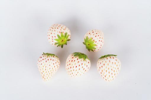 Photo, strawberry, white, pearl white, 