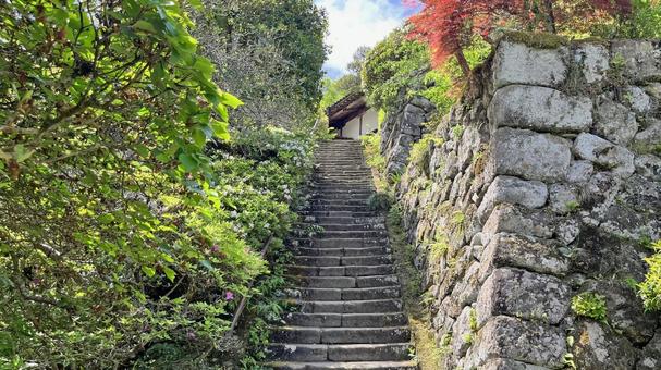 The stone steps of the approach to Hossho-ji Temple, No. 32 of the 34 Kannon temples in Chichibu, faxing temple, prajna mountain, approach, JPG