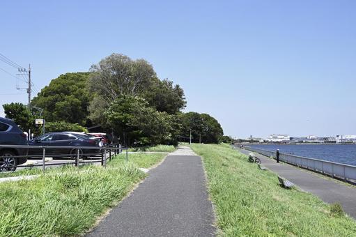 京浜島つばさ公園 京浜島つばさ公園 晴れ,天気,海辺公園の写真素材