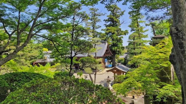 坂東33観音 11番 安楽寺 境内の風景 坂東33観音 11番 安楽寺 境内の風景 安楽寺,岩殿山,仁王門の写真素材