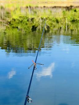 釣り日和 夏,釣り,とんぼの写真素材