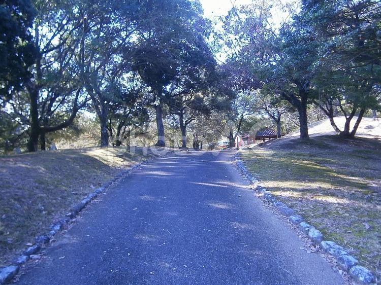 公園　秋口　小道 風景,田舎,晴れの写真素材