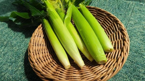 ヤングコーン ヤングコーン ヤングコーン,youngcorn,野菜の写真素材
