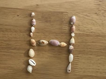 貝殻　アルファベット　H 貝殻,アルファベット,hの写真素材