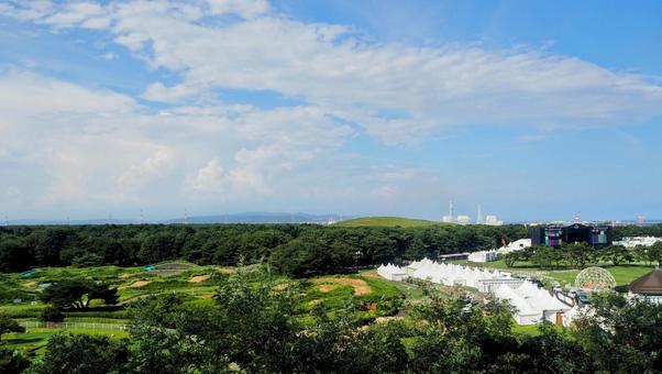 ひたち海浜公園・観覧車から見た公園の樹林 ひたち海浜公園・観覧車から見た公園の樹林の写真