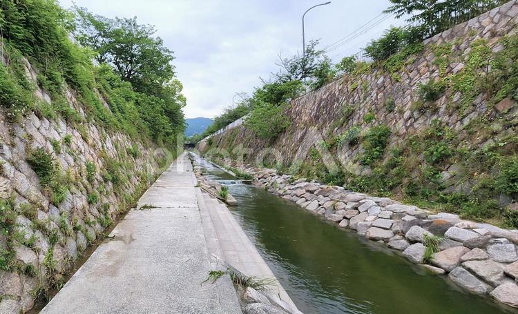 妙法寺川河川敷（神戸） 妙法寺川,神戸,河川敷の写真素材