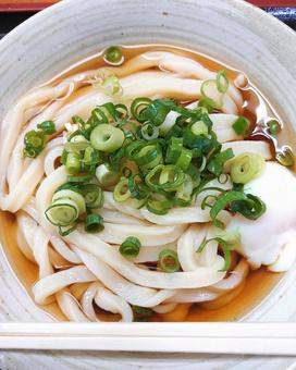 本場香川の讃岐うどん(美味しい)香川県 本場香川の讃岐うどん(美味しい)香川県 讃岐うどん,本場,香川の写真素材