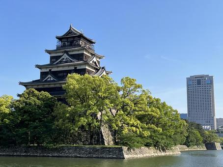 広島城 広島城,日本100名城,鯉城の写真素材