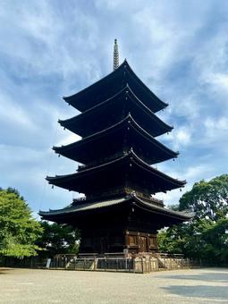 京都 東寺 京都 東寺の写真