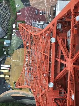 Photo, tokyo tower, landscape, high floor, 