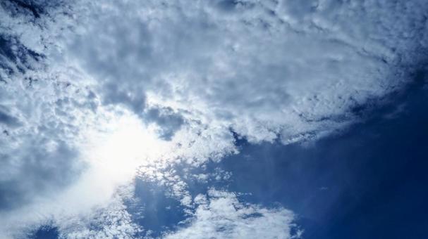 Photo, summer, sun, blue sky, 