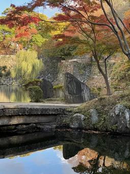 初紅葉 水鏡 西の丸庭園,紅葉渓庭園,水鏡の写真素材