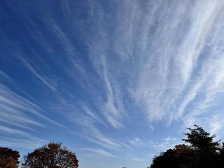 放射状の雲と木 秋,里山,自然の写真素材