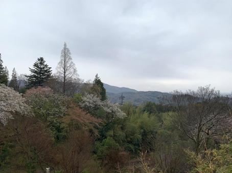 茨城県筑波山の景色16 茨城県筑波山の景色16 筑波山,つくば,茨城県の写真素材