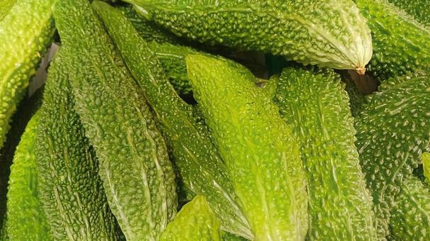 ゴーヤ4 ゴーヤ,野菜,食品の写真素材