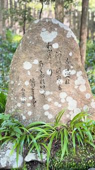 苔むす歌碑 貴船神社,石碑,歌碑の写真素材