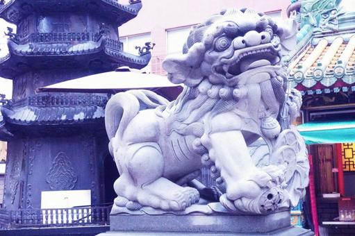 横浜中華街横濱媽祖廟の狛犬 横浜中華街横濱媽祖廟の狛犬 中華街,町並み,観光地の写真素材