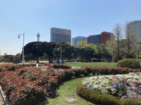 山下公園 山下公園 海,景色,ヨコハマの写真素材