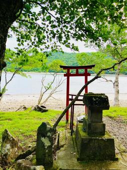 小沼のほとり 小沼のほとりの写真
