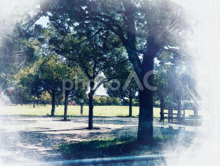 公園の風景 ライフスタイル,木,自然の写真素材