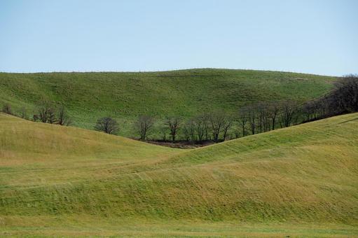 柔らかな光に包まれた秋の丘 丘,起伏,丘陵の写真素材