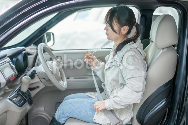 シートベルトを着用する女性 女性,ドライバー,ポニーテールの写真素材