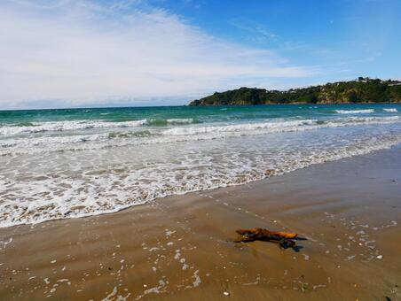Waiheke island Onewa Beach Waiheke island Onewa Beachの写真