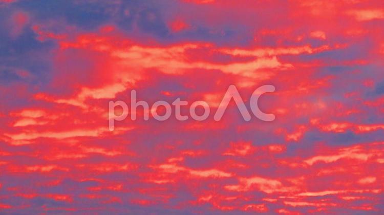 ６月下旬の野田池の朝焼け 背景,朝焼け,たそがれの写真素材
