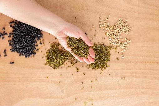 緑豆を持つ左手 緑豆,豆,持つの写真素材