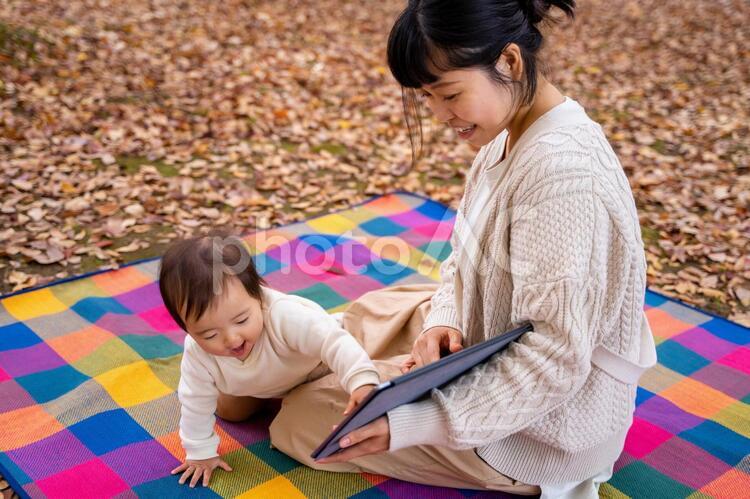 秋の公園でママとタブレットPCで遊ぶ赤ちゃん タブレット,赤ちゃん,あかちゃんの写真素材