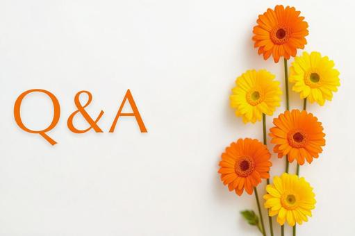 Q&A Q&Aの写真
