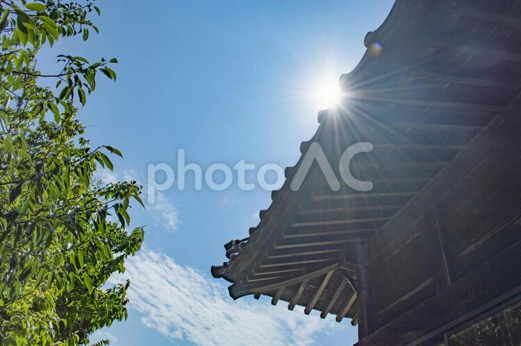 風景　夏の空と太陽光と残暑 残暑,風景,太陽の写真素材