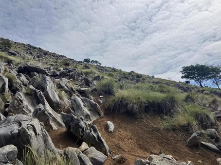 霊仙山 岩稜地帯 霊仙山 岩稜地帯の写真
