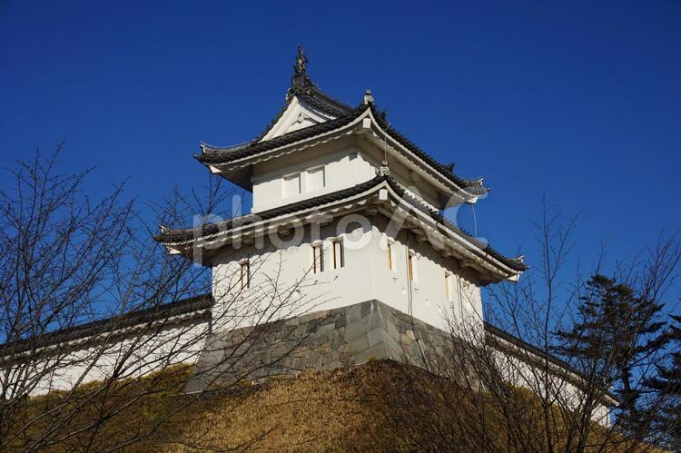 宇都宮城の富士見櫓　市役所側から 宇都宮城,宇都宮市,富士見櫓の写真素材