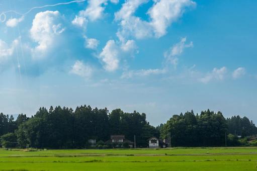 田舎の風景 田舎の風景の写真