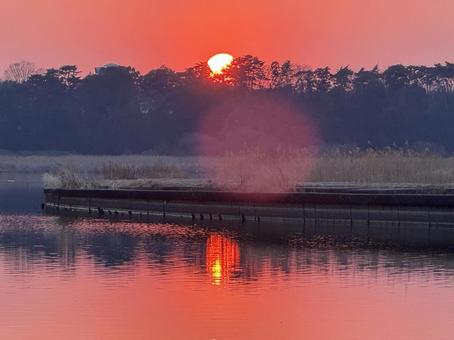 Photo, sun, setting sun, red sky, 