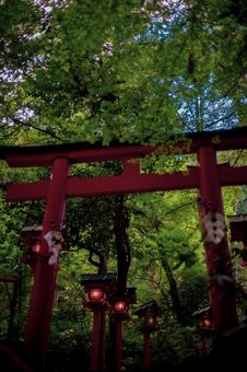 フィルムカメラ風の神社の写真 フィルムカメラ風の神社の写真 フィルムカメラ風,レトロ,神社の写真素材
